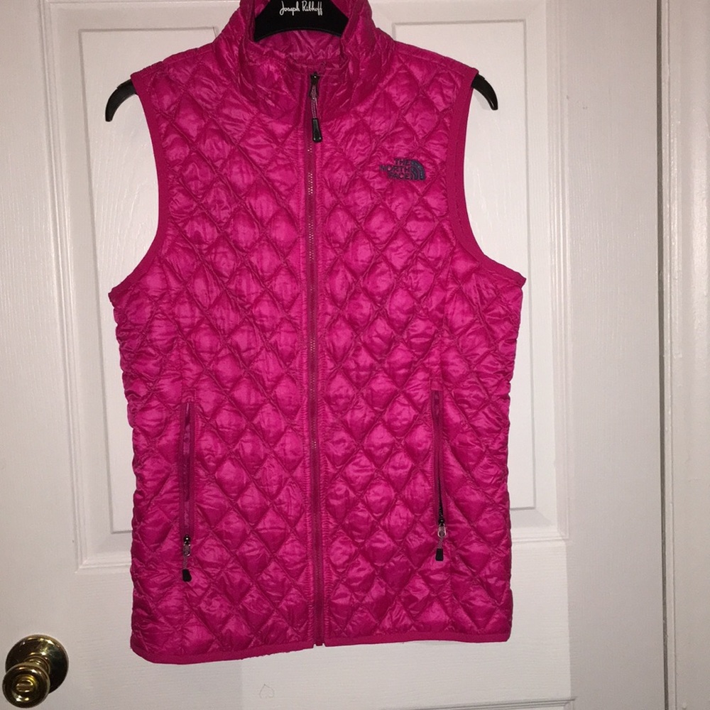 The North face vest